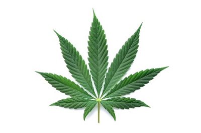 Ein einzelnes Cannabisblatt